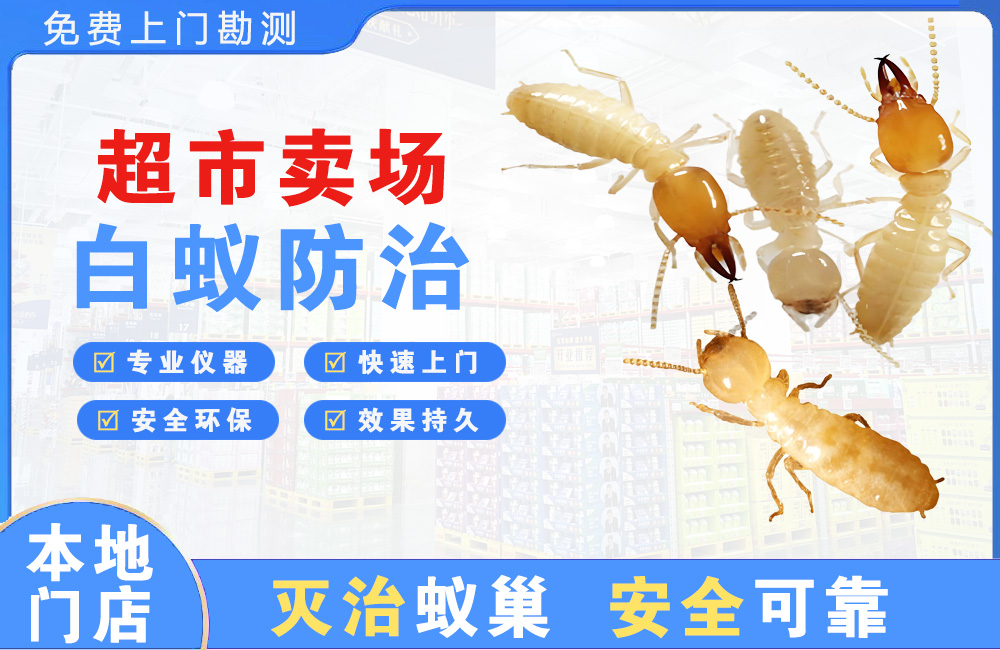 泸州超市卖场白蚁防治