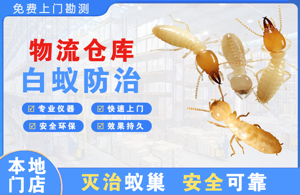 泸州物流仓库白蚁防治