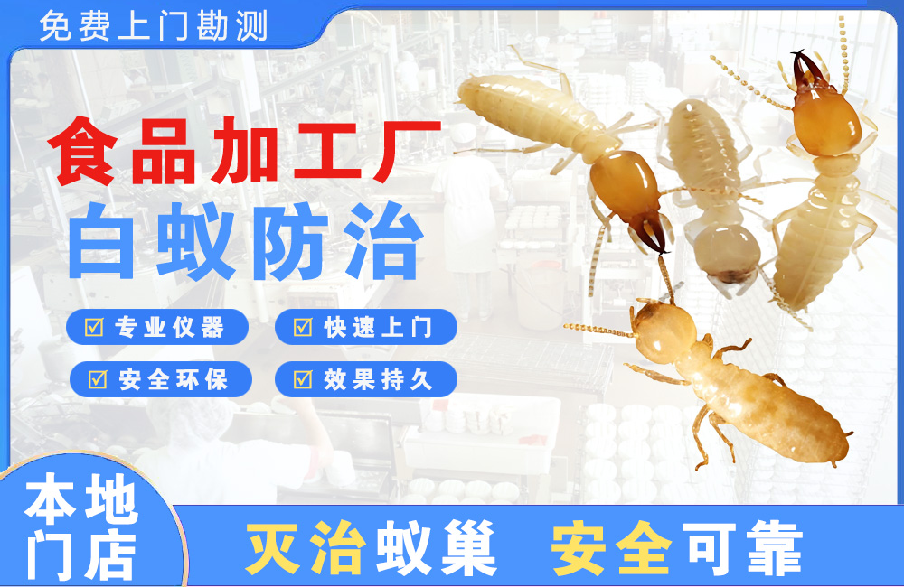 泸州食品加工厂白蚁防治