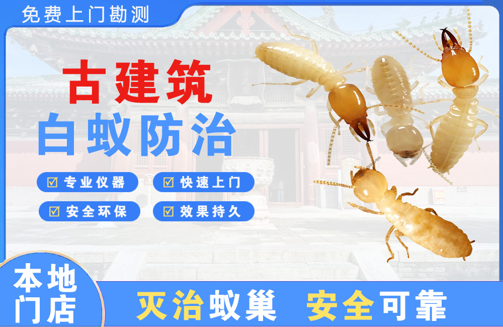 泸州古建筑白蚁防治