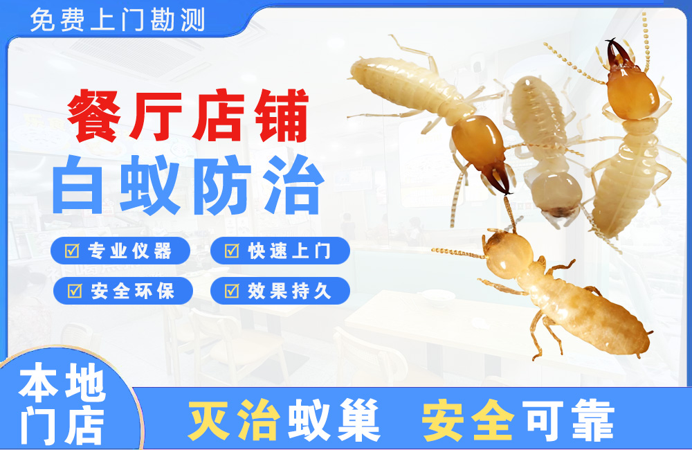 泸州餐厅店铺白蚁防治